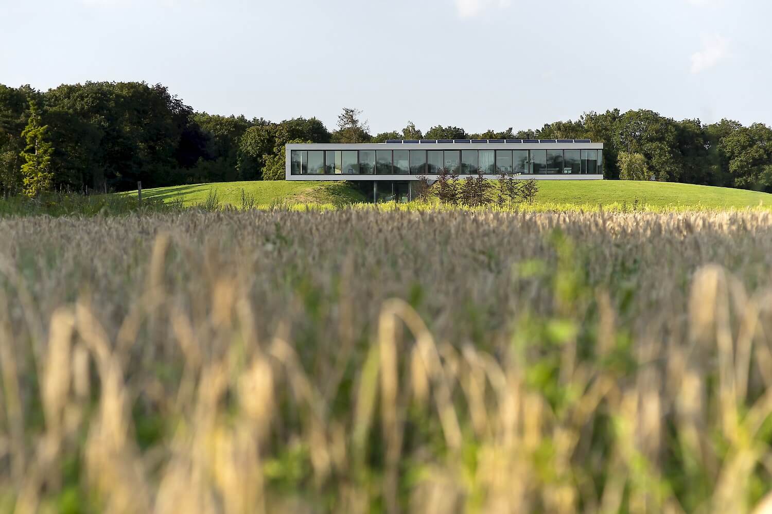 BRIDGE HOUSE